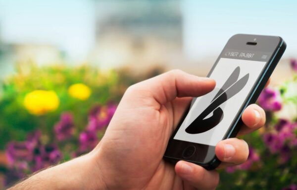 CÓMO CONECTAR TU JUGUETE SEXUAL CON TU SMARTPHONE: Guía Paso a Paso