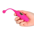 HUEVO CONTROL01