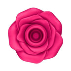 BLOSSOM02