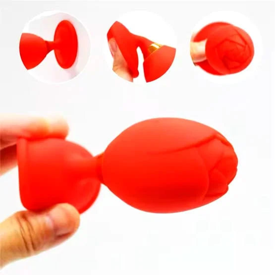 ROSECONTROL02