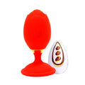 ROSECONTROL04