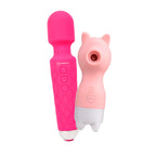 Combo Primer Juguete (Tuinky / Noah)