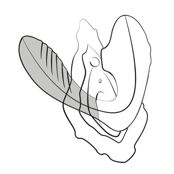 Succionador y Vibrador Romp Reverb - Imagen 6