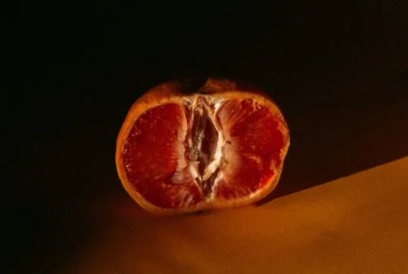 sexo oral, técnicas para sexo oral