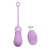 Vibrador Con Control Remoto